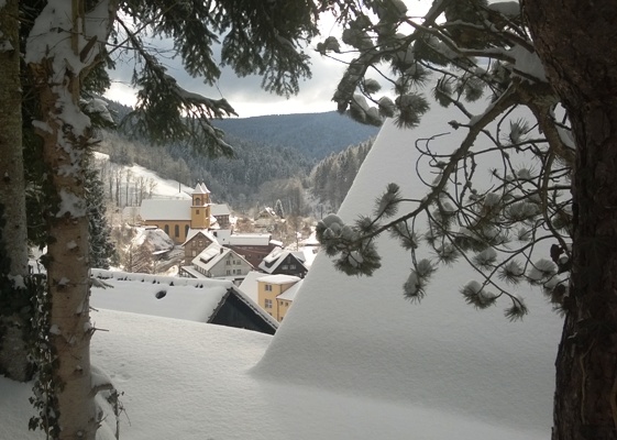 Winter  im Schwarzwald